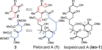 Total Synthesis of Peloruside A through Kinetic Lactonization and Relay Ring-Closing Metathesis Cyclization Reactions