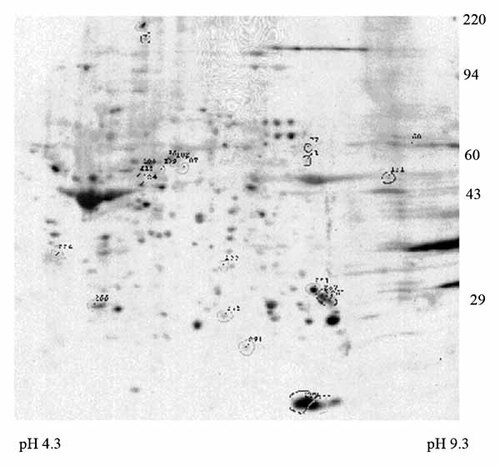 Details are in the caption following the image
