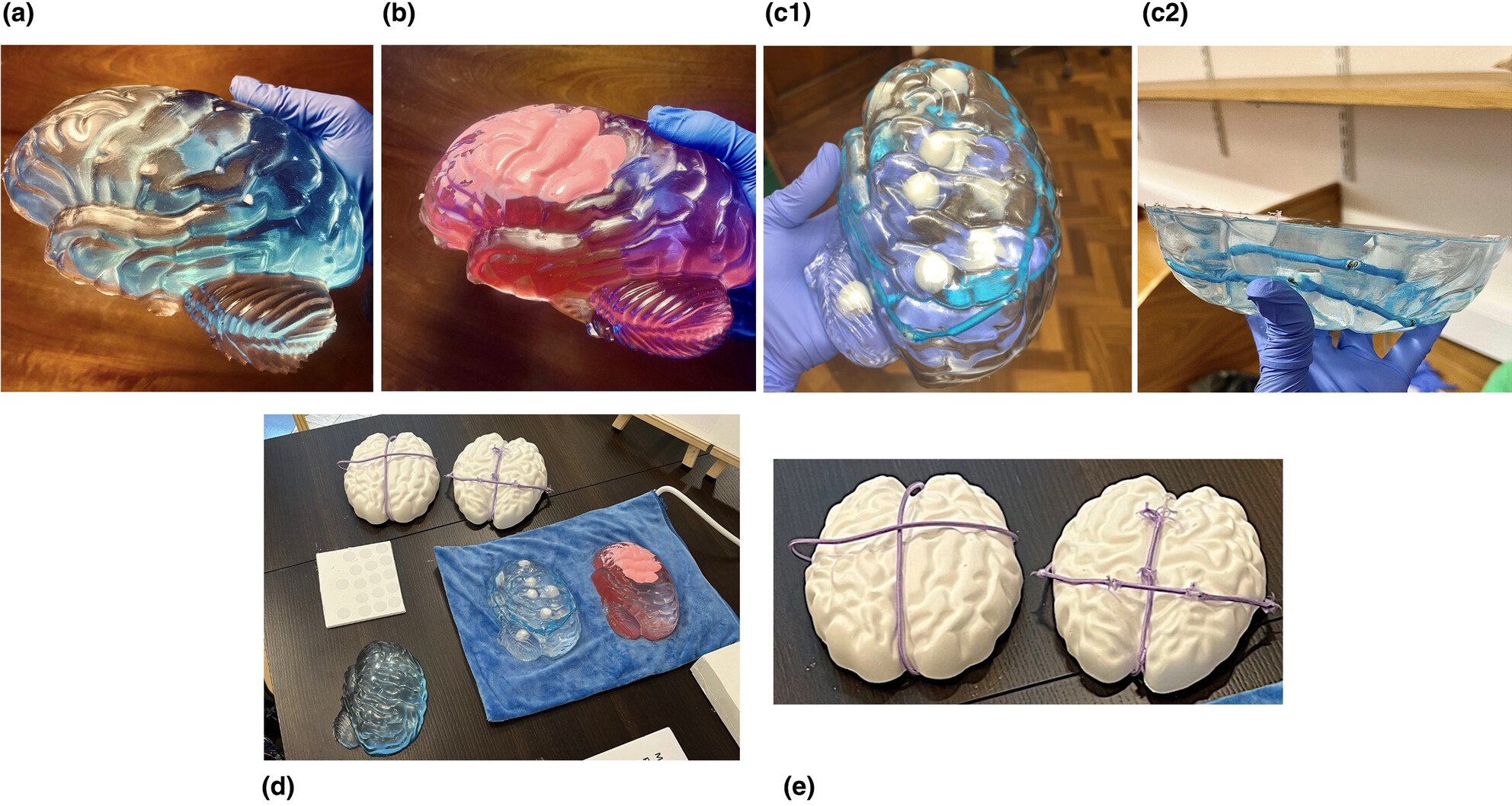 Breaking down barriers with sensory science—improving accessibility to neuroimmunology for the blind and low-vision communities