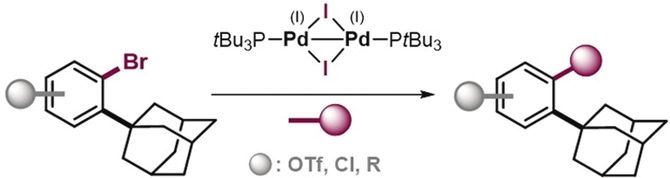 Selective ortho-Functionalization of Adamantylarenes Enabled by Dispersion and an Air-Stable Palladium(I) Dimer