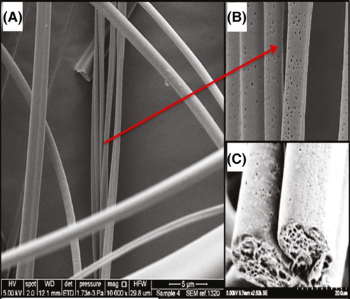 Details are in the caption following the image