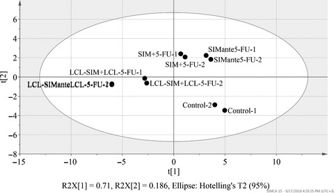 Liposomal simvastatin sensitizes C26 murine colon carcinoma to the antitumor effects of liposomal 5-fluorouracil in vivo