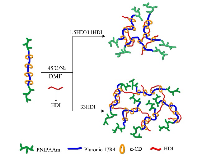 Slightly Cross-Linked Polyrotaxanes Made by Linking α-Cyclodextrins Entrapped in Polyrotaxanes Using Hexamethylene Diisocyanate
