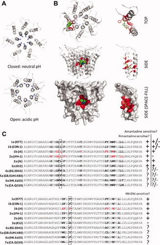 Details are in the caption following the image Details are in the caption following the image