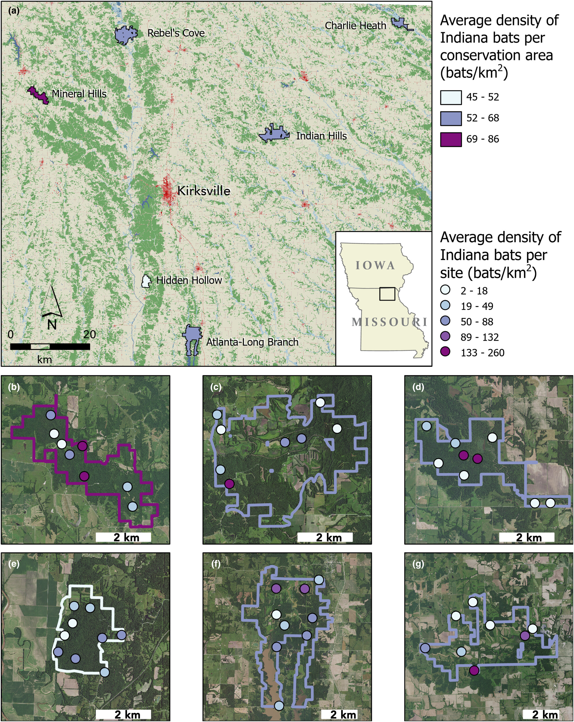 Acoustic monitoring yields informative bat population density estimates