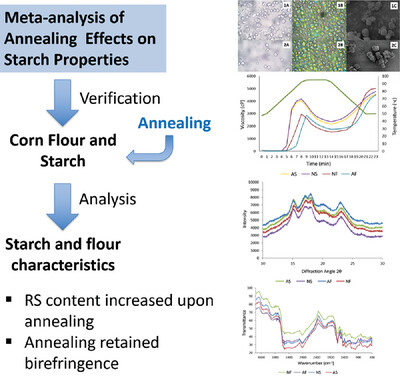 Characterization of Physicochemical Properties of Annealed Corn Flour and Starch: A Verification of Meta-Analysis