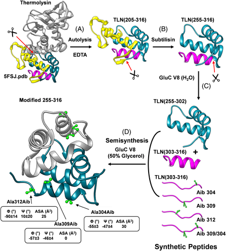 Details are in the caption following the image Details are in the caption following the image