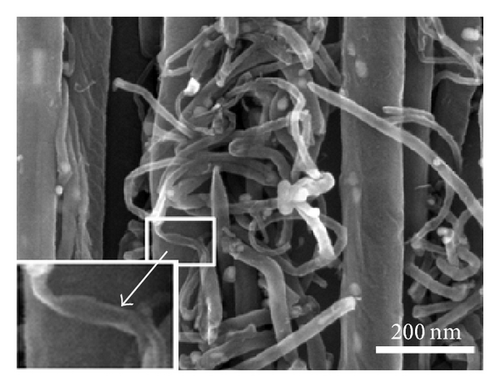 Details are in the caption following the image