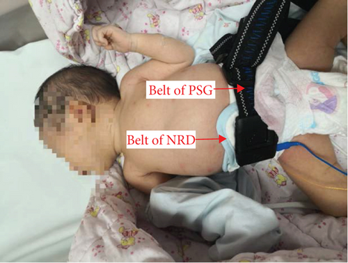 Details are in the caption following the image Details are in the caption following the image