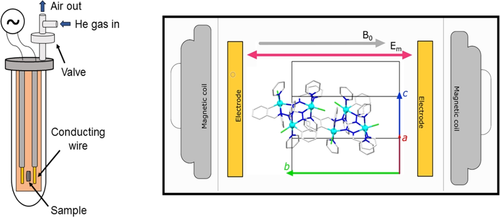 Details are in the caption following the image Details are in the caption following the image