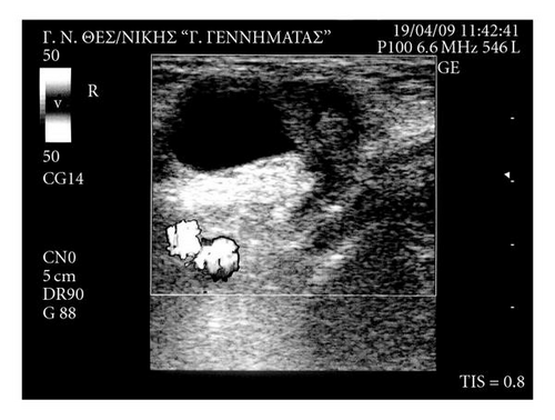 Details are in the caption following the image Details are in the caption following the image