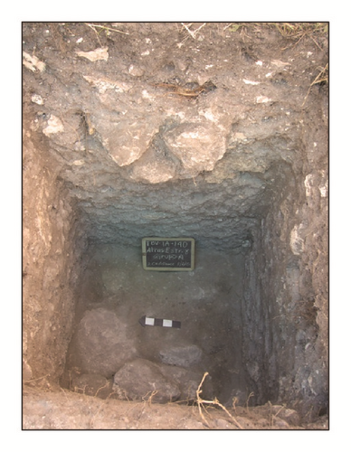 Details are in the caption following the image Details are in the caption following the image