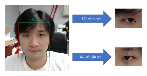 Details are in the caption following the image Details are in the caption following the image