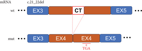 Details are in the caption following the image