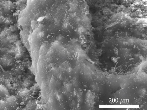 Details are in the caption following the image