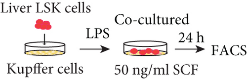 Details are in the caption following the image