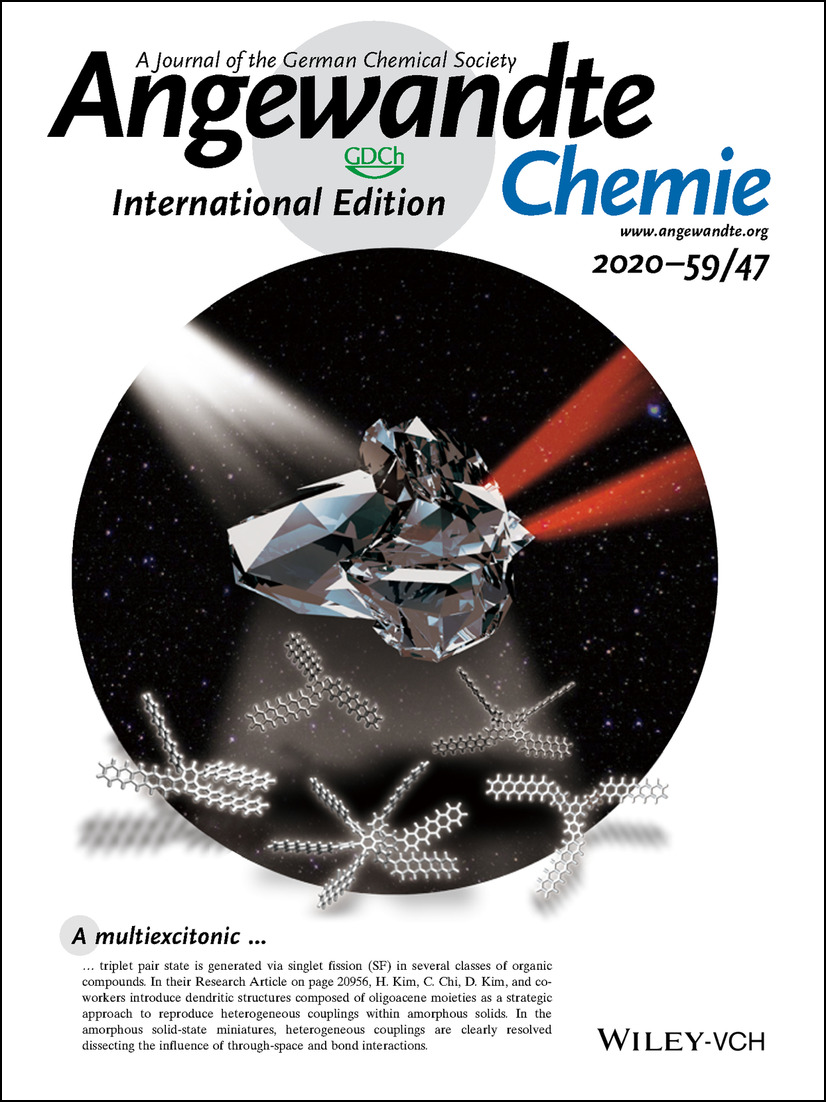 Inside Back Cover: Multiexcitonic Triplet Pair Generation in Oligoacene Dendrimers as Amorphous Solid-State Miniatures (Angew. Chem. Int. Ed. 47/2020) Volume 59 Issue 47, 2020