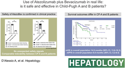 Preliminary evidence of safety and tolerability of atezolizumab plus bevacizumab in patients with hepatocellular carcinoma and Child-Pugh A and B cirrhosis: A real-world study