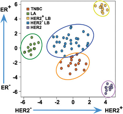 Whole-genome circulating tumor DNA methylation landscape reveals sensitive biomarkers of breast cancer