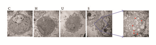 Details are in the caption following the image