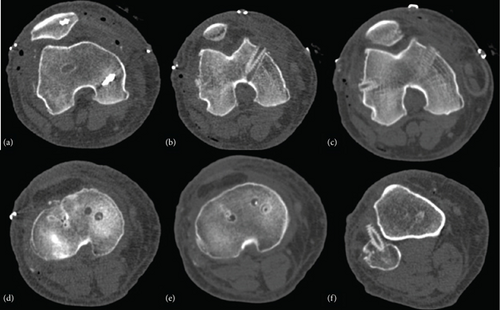Details are in the caption following the image Details are in the caption following the image
