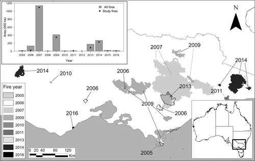 Details are in the caption following the image