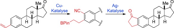 Functionalization of Styrenes by Copper-Catalyzed Borylation/ ortho-Cyanation and Silver-Catalyzed Annulation Processes