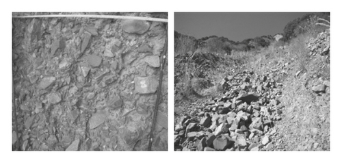 Details are in the caption following the image