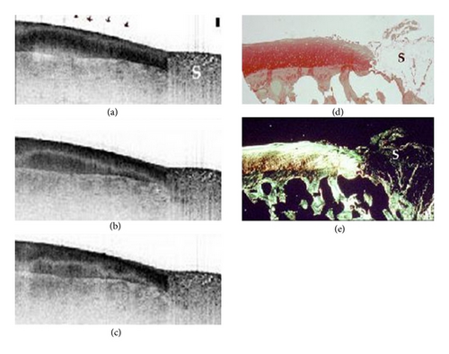 Details are in the caption following the image Details are in the caption following the image