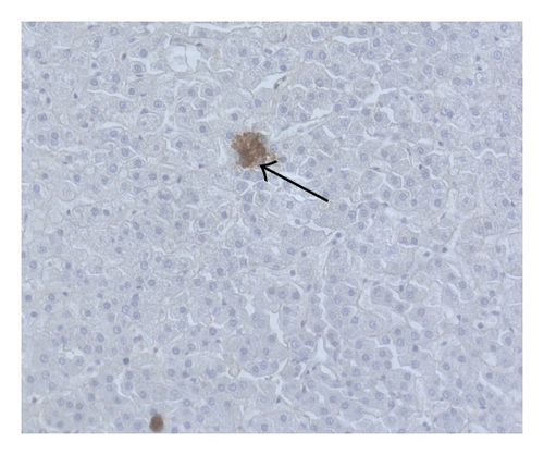 Details are in the caption following the image