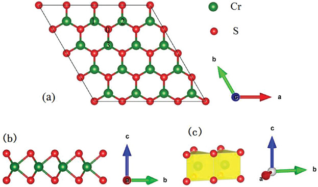 First-Principles Prediction of the Structural, Electronic, and Magnetic Properties of Nonmetal Atoms Doped Single-Layer CrS2