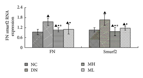 Details are in the caption following the image