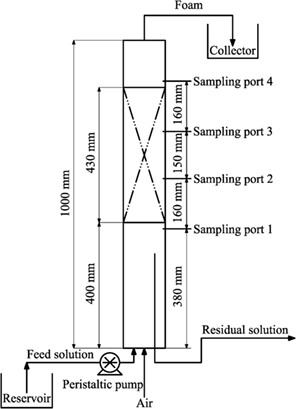 Random Packing Performance in Continuous Foam Fractionation