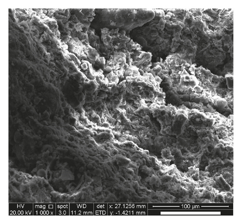 Details are in the caption following the image