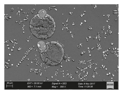 Details are in the caption following the image