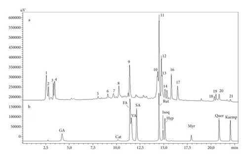 Details are in the caption following the image Details are in the caption following the image