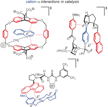 The Cation–π Interaction in Small-Molecule Catalysis