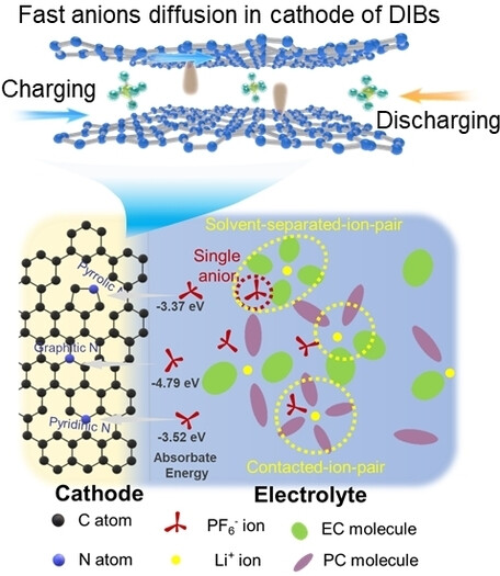 Large Interlayer Distance and Heteroatom-Doping of Graphite Provide New Insights into the Dual-Ion Storage Mechanism in Dual-Carbon Batteries