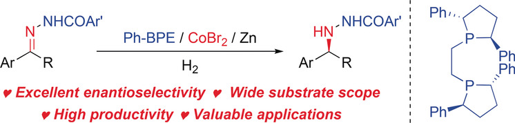 Cobalt-Catalyzed Asymmetric Hydrogenation of C=N Bonds Enabled by Assisted Coordination and Nonbonding Interactions