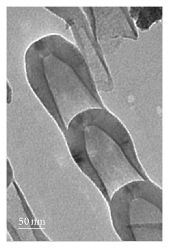 Details are in the caption following the image