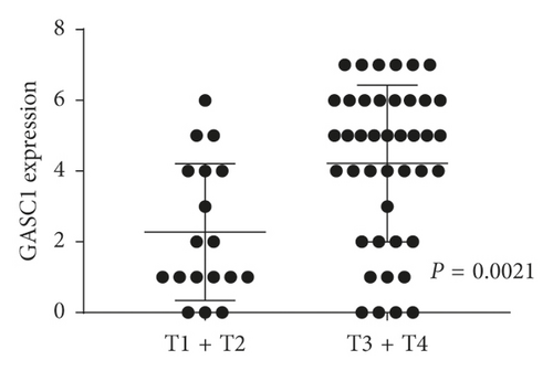 Details are in the caption following the image