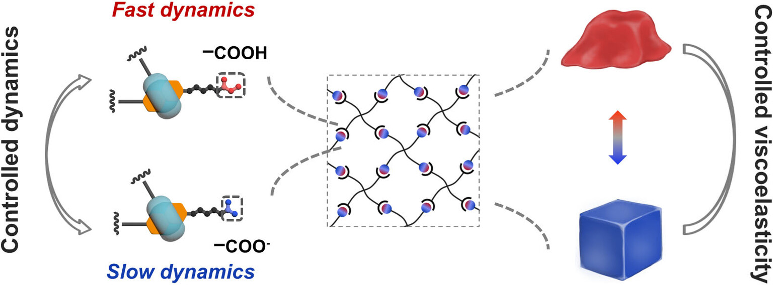Control Viscoelasticity of Polymer Networks with Crosslinks of Superposed Fast and Slow Dynamics