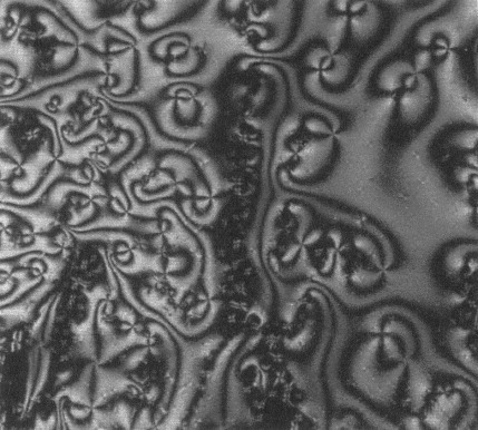 Synthesis and crosslinking of a series of dimeric liquid-crystalline diglycidylester compounds containing imine groups