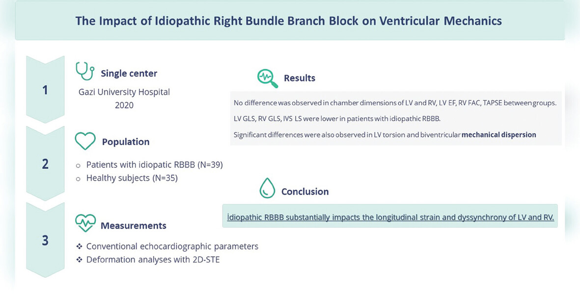 Evaluation of Right and Left Ventricular Deformation Analysis in İdiopathic Right Bundle Branch Block by Speckle Tracking Echocardiography