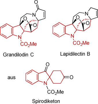 Total Syntheses of (+)-Grandilodine C and (+)-Lapidilectine B and Determination of their Absolute Stereochemistry