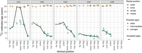 Radiocarbon estimates of age and growth for a dominant Amazon palm species