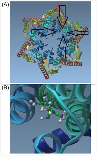 Details are in the caption following the image Details are in the caption following the image