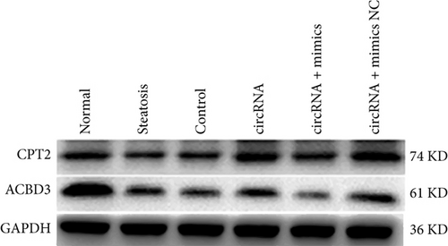 Details are in the caption following the image