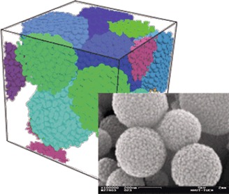 Numerische Untersuchungen der hydrodynamischen Dispersion in Kugelschüttungen aus porösen Mikropartikeln Numerical Studies of Hydrodynamic Dispersion in Packed Beds of Uniform Porous Microparticles