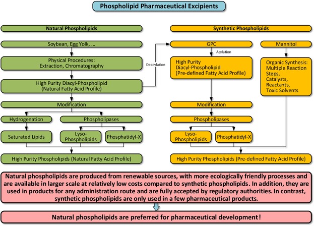 The use of natural and synthetic phospholipids as pharmaceutical excipients Issue 9, 2014